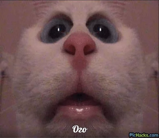 Эмодзи po rzhat'