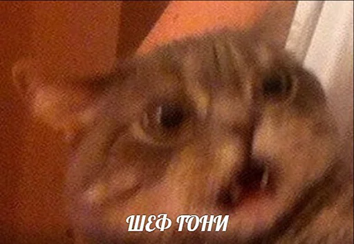 Эмодзи po rzhat'