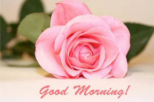 Эмодзи PositivForEnglish