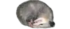 Эмодзи Possum style