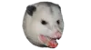 Эмодзи Possum style