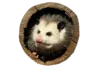 Эмодзи Possum style