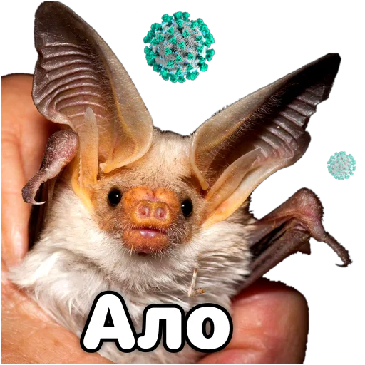 ?‍♂️