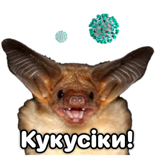 Эмодзи Поторочений кажан