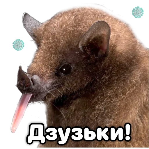 Эмодзи Поторочений кажан