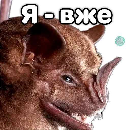Эмодзи Поторочений кажан