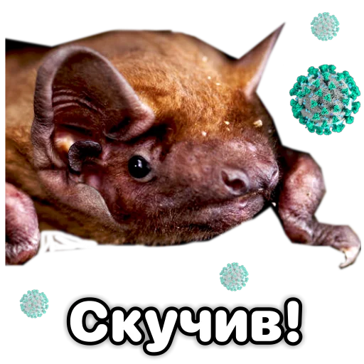 Эмодзи Поторочений кажан