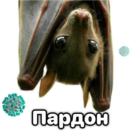 Эмодзи Поторочений кажан