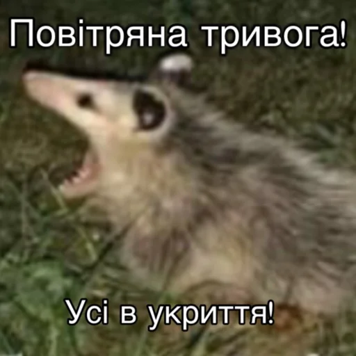 Эмодзи Повітряна тривога 🚨