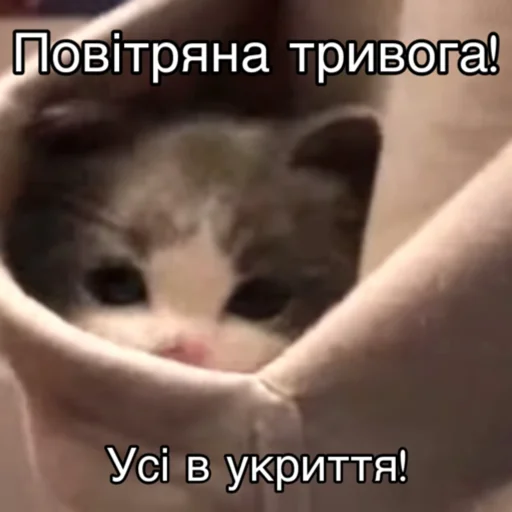 Эмодзи Повітряна тривога 🚨