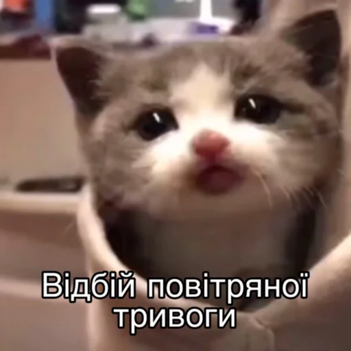 Эмодзи Повітряна тривога 🚨