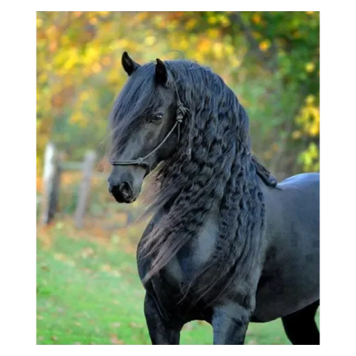 Эмодзи Пппп