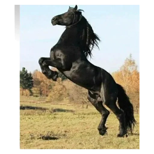 Эмодзи Пппп