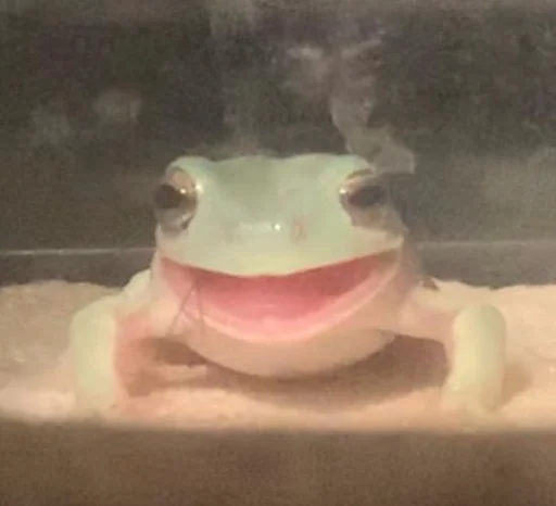Эмодзи Frogs and toads