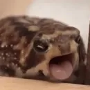 Эмодзи Жабки :ь