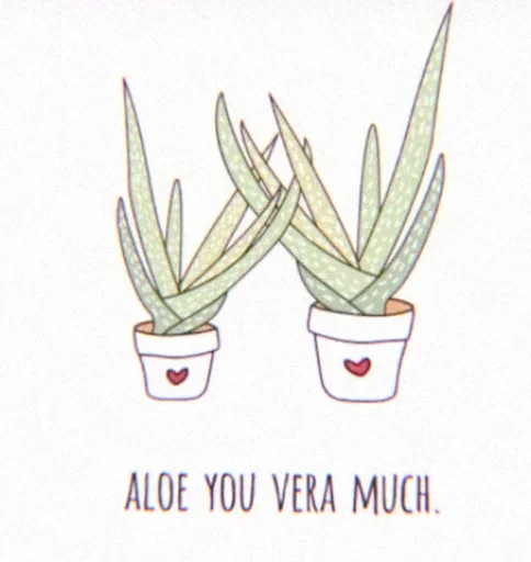 Эмодзи ♡︎𝓜𝓸𝓸𝓷𝓲𝓮'𝓼 𝓵𝓸𝓿𝓮♡︎