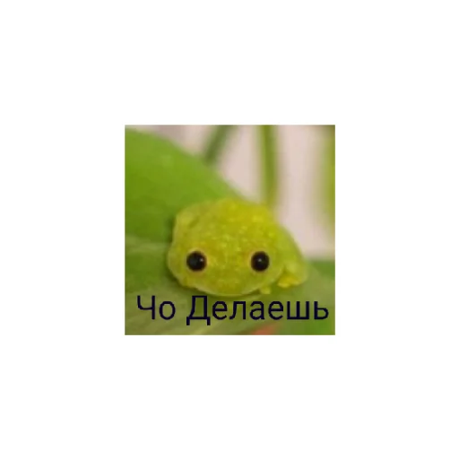 Эмодзи Про