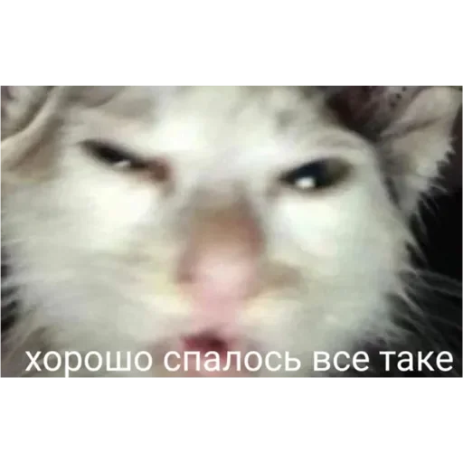 Эмодзи Проснулся