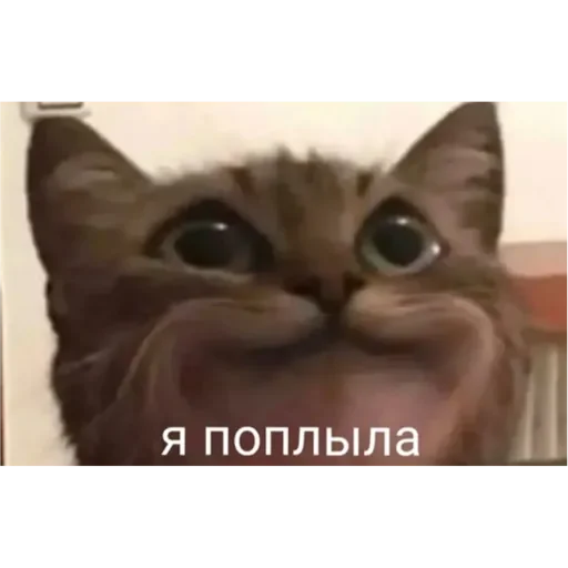 Эмодзи Проснулся