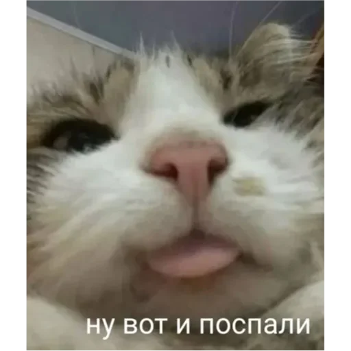 Эмодзи Проснулся