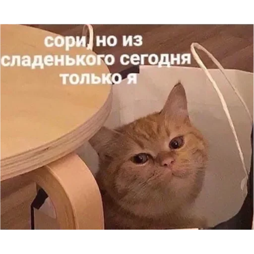 Эмодзи Проснулся