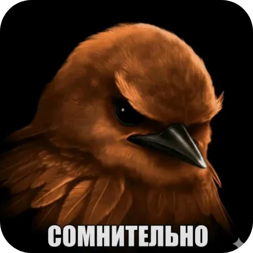Эмодзи Birds Memes