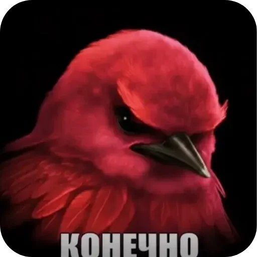 Эмодзи Birds Memes