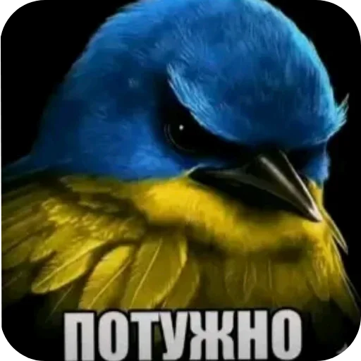 Эмодзи Birds Memes