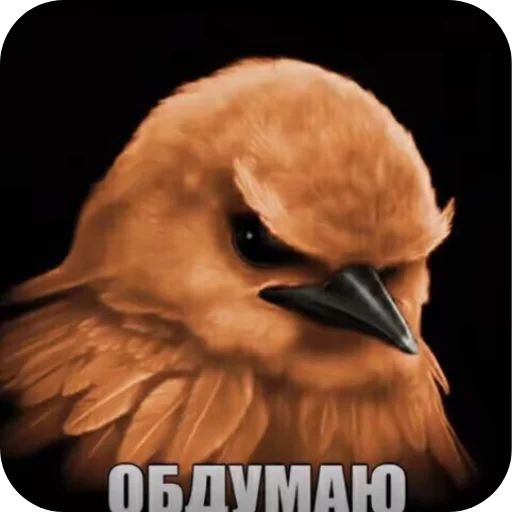 Эмодзи Birds Memes