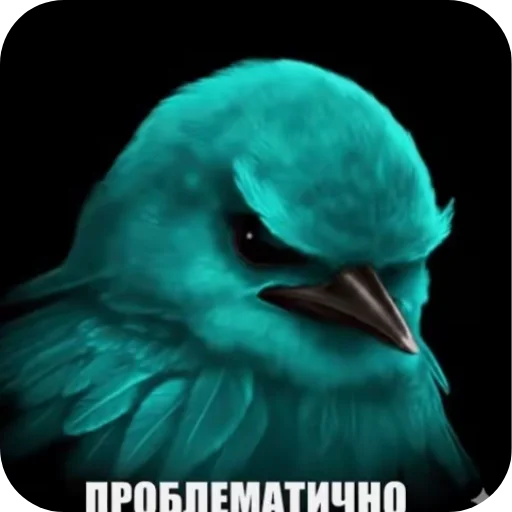 Эмодзи Birds Memes