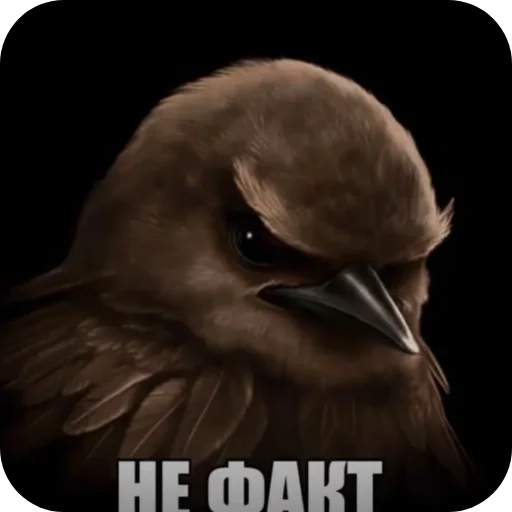 Эмодзи Birds Memes