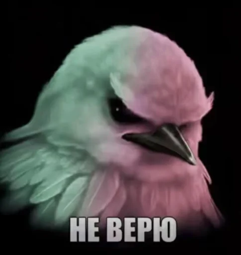 Эмодзи Birds Memes