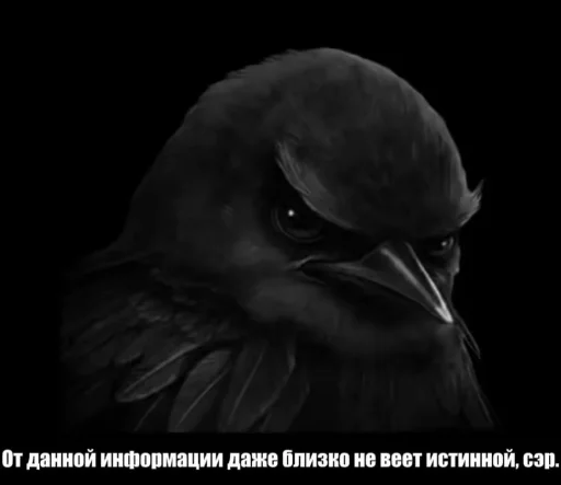 Эмодзи Birds Memes