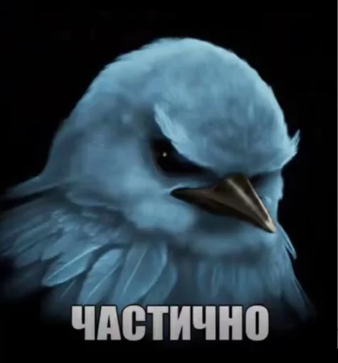 Эмодзи Birds Memes