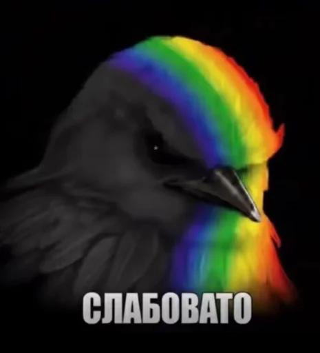 Эмодзи Birds Memes