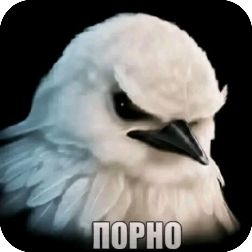 Эмодзи Birds Memes