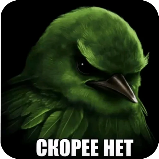 Эмодзи Birds Memes