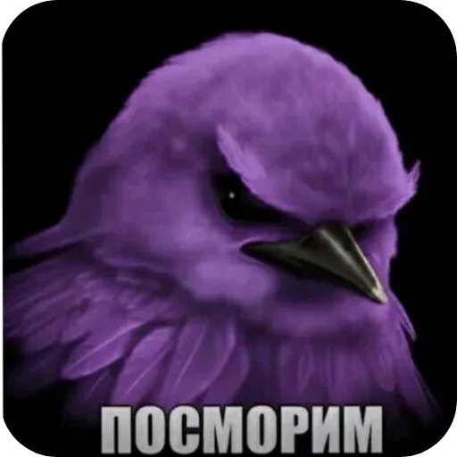 Эмодзи Birds Memes