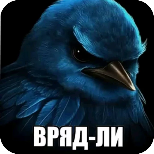Эмодзи Birds Memes