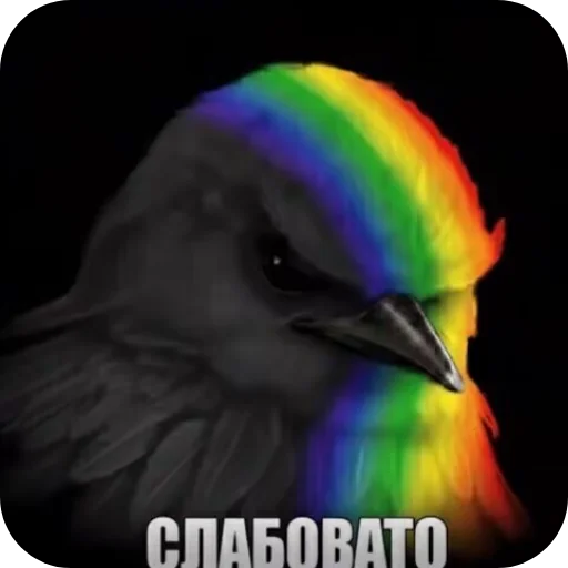 Эмодзи Birds Memes