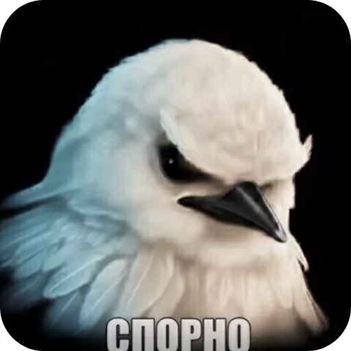 Эмодзи Birds Memes