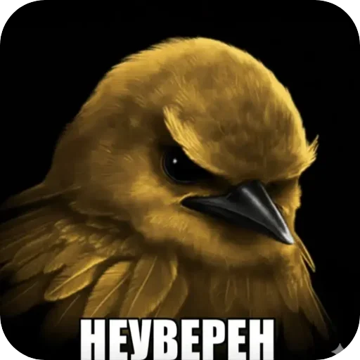 🐦