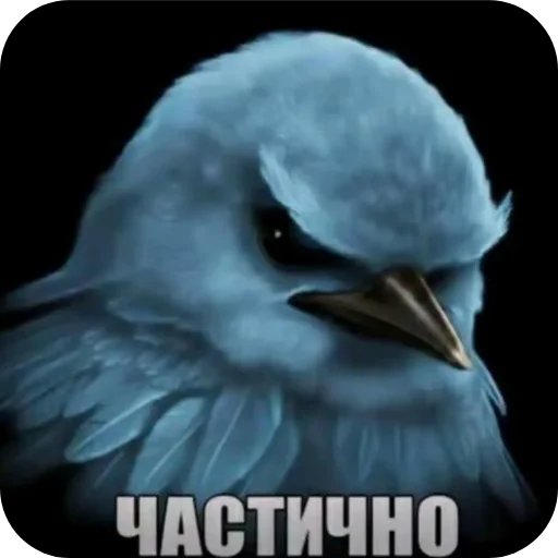 Эмодзи Birds Memes