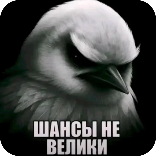 Эмодзи Птички