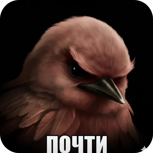 🐦