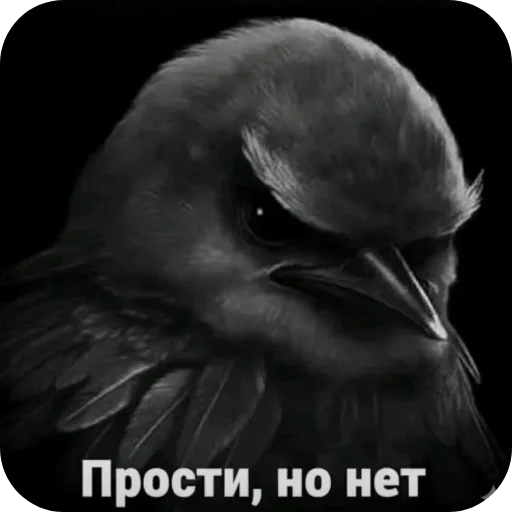 Эмодзи Birds Memes