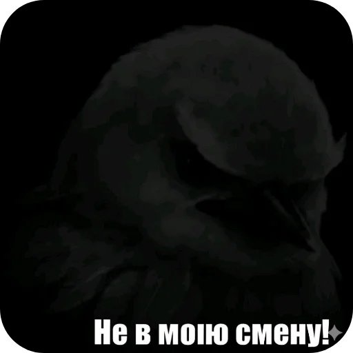 Эмодзи Birds Memes