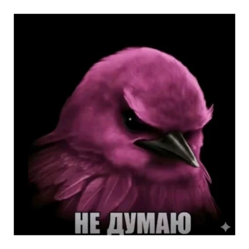 Эмодзи Birds Memes