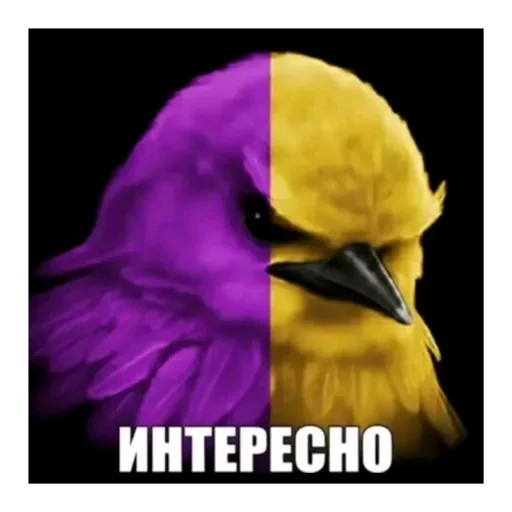 Эмодзи Birds Memes