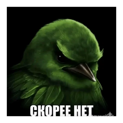 Эмодзи Birds Memes